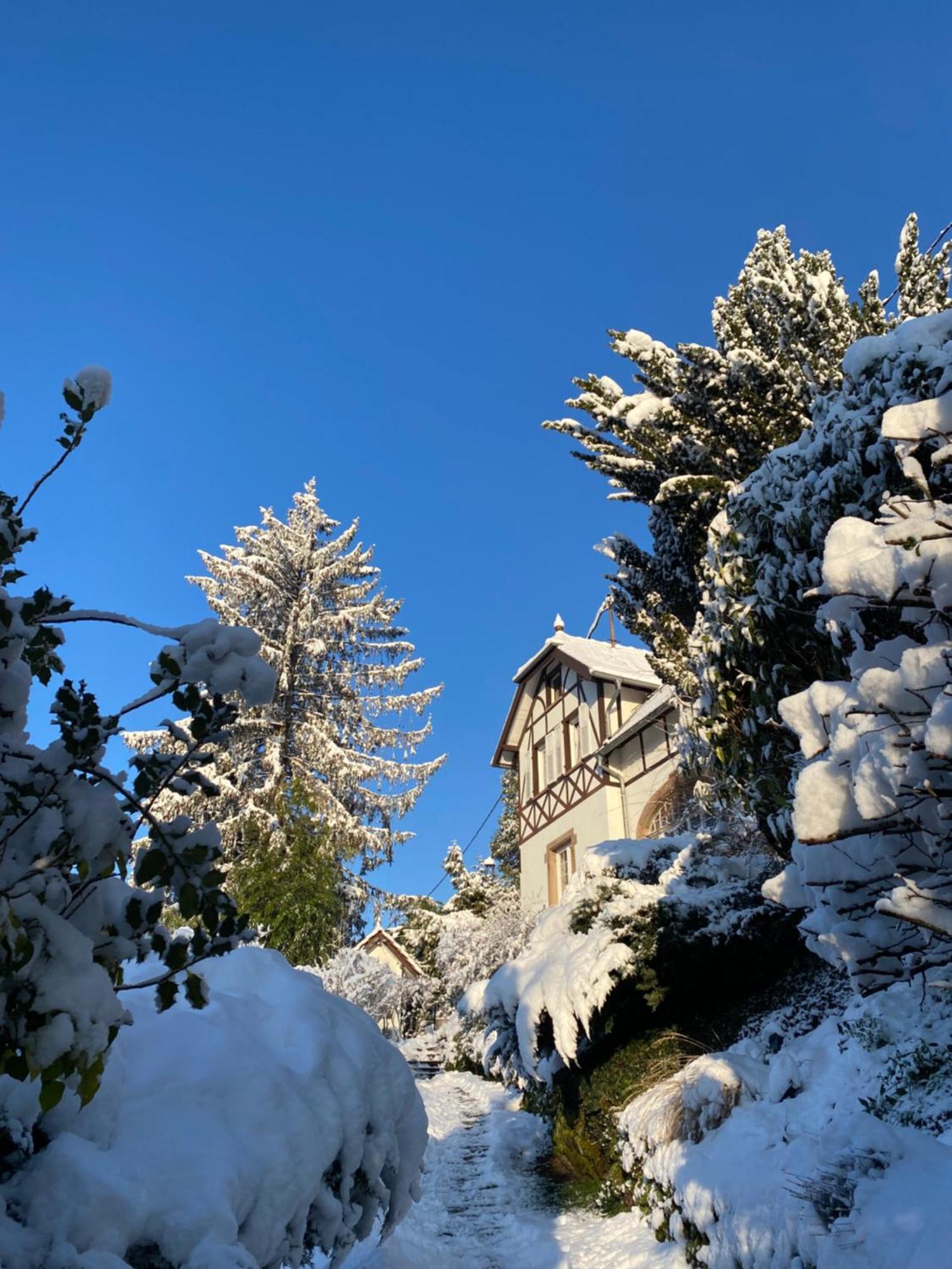 La Dependance De La Villa Des Oiseaux - La Petite Pierre Exterior photo